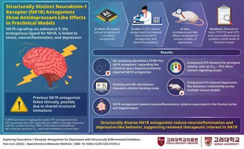 Low-Res_KORME_56_5_KORME_56_Infographic_final