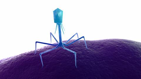 3d,Rendered,Medically,Accurate,Illustration,Of,A,Bacteriophage,On,A