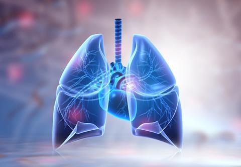 Human,Lungs,Anatomy,On,Science,Background.,3d,Illustration