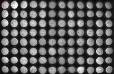 MagnitudeBiosciences-2