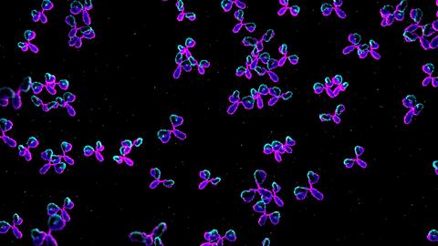 3d,Rendered,Medically,Accurate,Illustration,Of,Antibodies