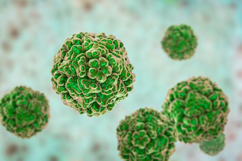 Enteroviruses,,A,Group,Of,Rna-viruses,Of,The,Picornaviridae,Family,Including