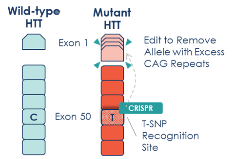 Life Edit’s allele-selective approach