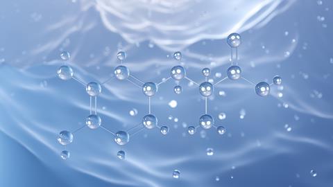 shutterstock_2465206771