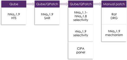 Nav19 screening cascade