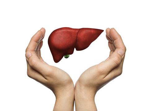 A,Human,Liver,Between,Two,Palms,Of,A,Woman,On