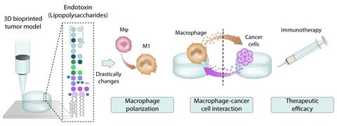 ~ai-febb3d5e-5af6-4298-979a-0c15fe96ea35_