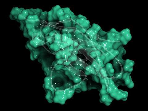 Programmed,Cell,Death,1,(pd-1,,Cd279),Receptor,Protein.,Pd-1,Is