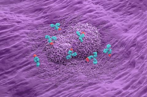 The study showed that therapeutic antibodies did not reach all tumour cells expressing the intended target, suggesting that tumour architecture influences drug delivery beyond target expression alone.