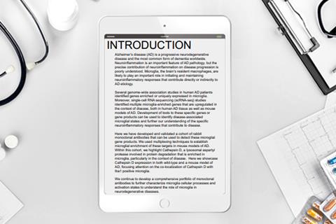 Client Asset Template copy