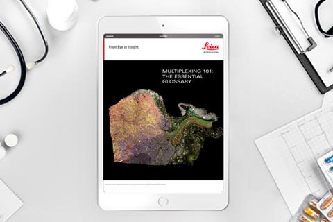 Client Asset Template copy
