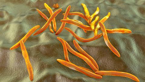 Fusobacterium,,3d,Illustration.,An,Oral,Bacterium,,Causes,Periodontal,Diseases,,Periodontal