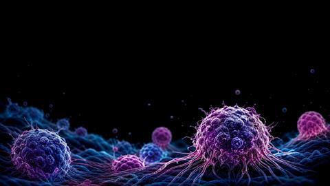 shutterstock_2801914993