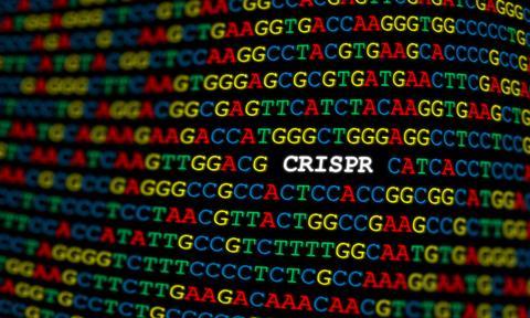 CRISPR-gene-drive-image