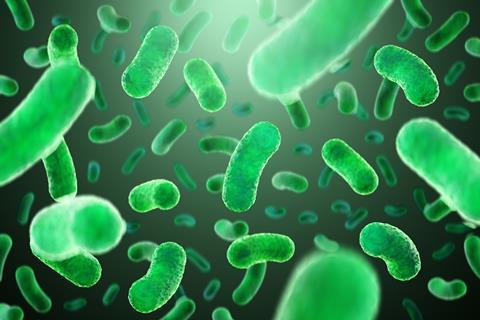 Concept,Infectious,Agents,,Bacteria,,Bacilli,,E.,Coli,,Part,Of,The