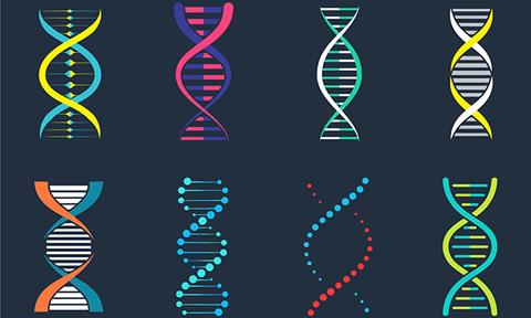 Dna