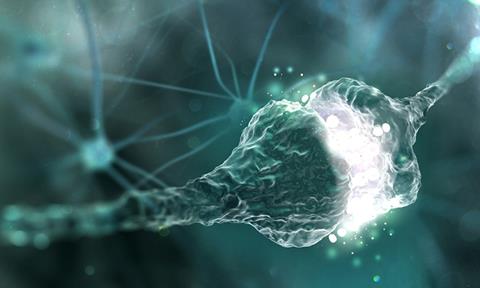 immunological-memory-image