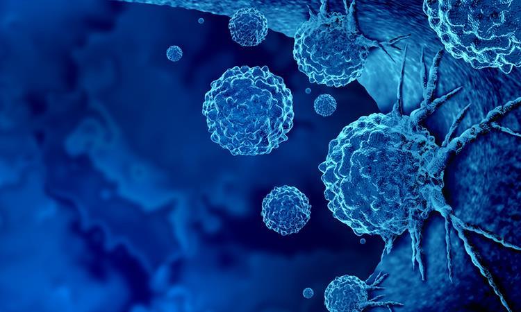 Looking beyond traditional oncogenic pathways to break cancer ...