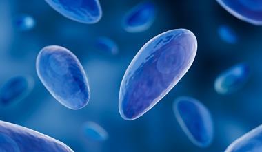 shutterstock_2382823289